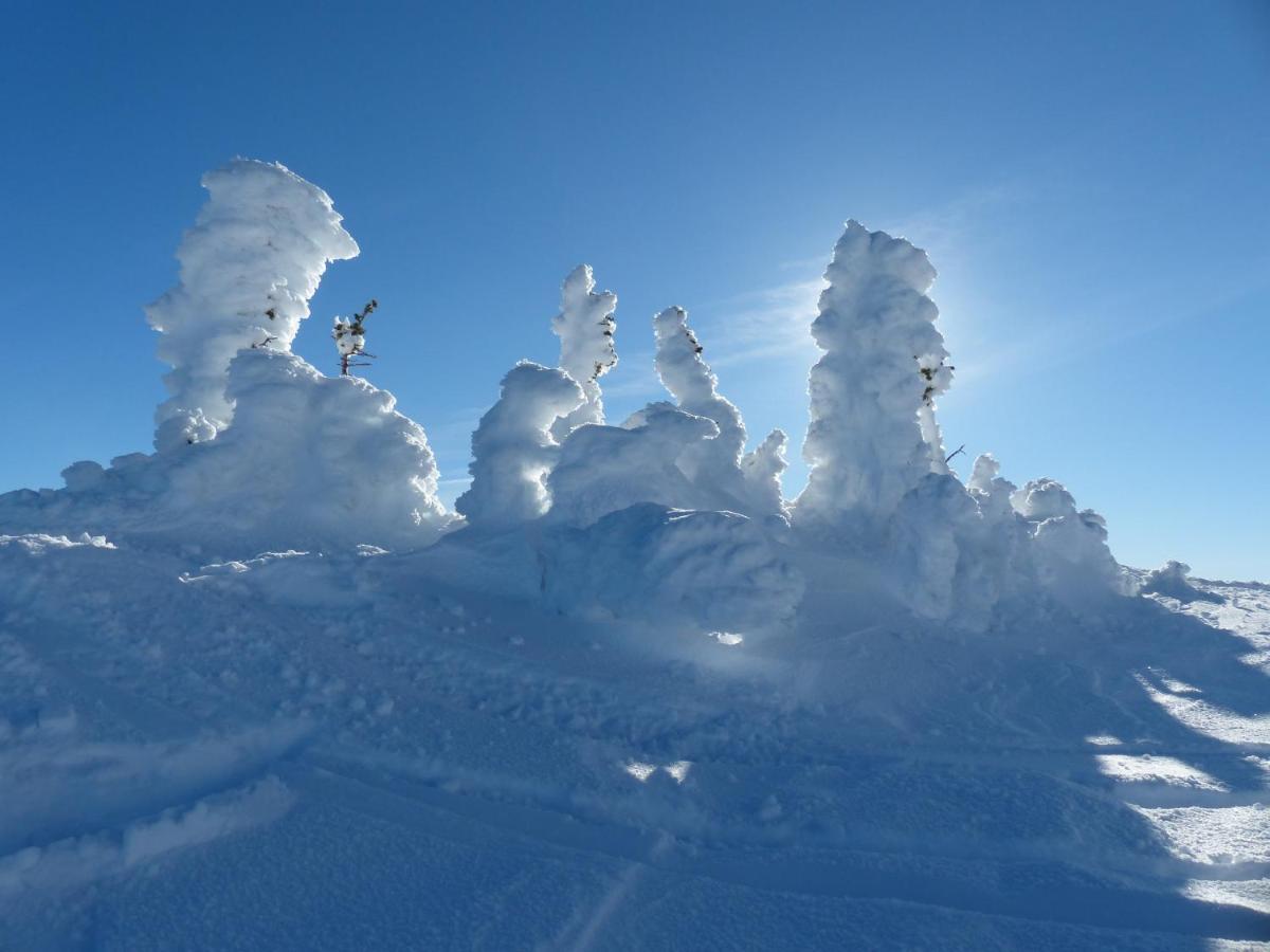 Chateau Big White Kültér fotó